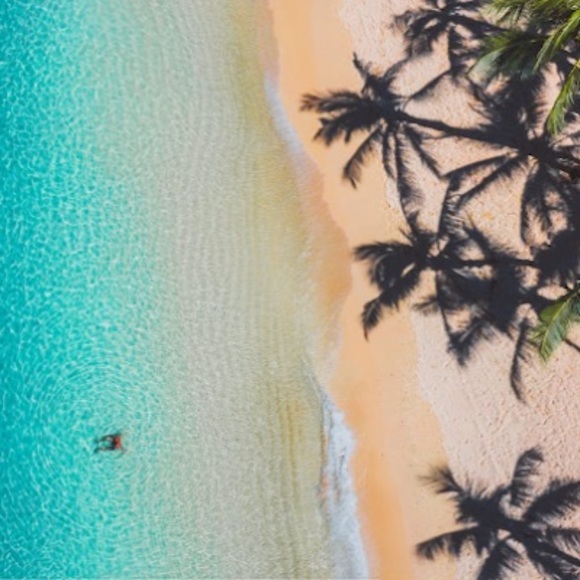 Meet your Posher, Kortny - Picture 1 of 1